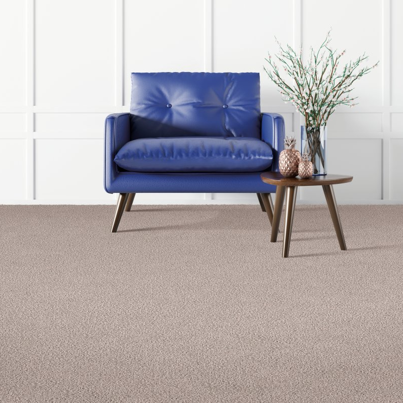 Quality Floors providing stain-resistant pet proof carpet in West Plains, MO Coastal Fashion I- Shoreline
